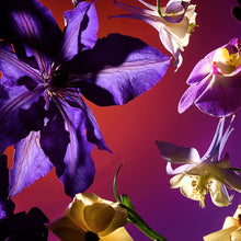 Charger l'image dans la galerie, Parfum Maison Minuit Chéri - BAIJA - 100 ml | Spray d'Ambiance Luxe