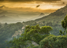 Charger l'image dans la galerie, Huile Universelle Ayurvédique Nouvelle Formule Cinq Mondes 150ml - Soin Multi-Usage