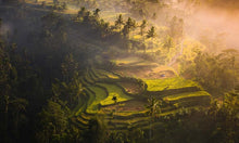 Charger l'image dans la galerie, Pâte de Fleurs Cinq Mondes 150ml - Baume Démaquillant Rituel de Bali