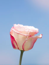 Charger l'image dans la galerie, Rosée Visage Mousse - PHYTOMER - 150 ml Nouveau Nettoyant Douceur