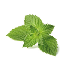 Charger l'image dans la galerie, Crème Jambes et Pieds Légers Cinq Mondes 100ml - Rituel de Guilin Effet Frais