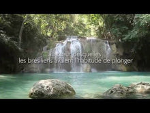 Charger et lire la vidéo dans la visionneuse de la Galerie, Brume soin rituel Bahia Cinq Mondes