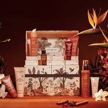 Charger l&#39;image dans la galerie, Coffret de Noël Pharmacopées Cinq Mondes - Cadeau Luxe Visage &amp; Corps
