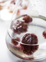 Charger l'image dans la galerie, SUBLIME NUIT - Baume Nocturne Rénovateur de Peau Phytomer 50ml
