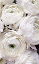 Charger l'image dans la galerie, SUBLIME NUIT - Baume Nocturne Rénovateur de Peau Phytomer 50ml
