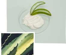 Charger l&#39;image dans la galerie, Shampoing Aloe Vera Bio sans sulfate 250 ml

