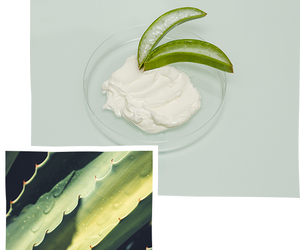 Shampoing Aloe Vera Bio sans sulfate 250 ml